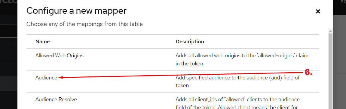 Select audience mapper