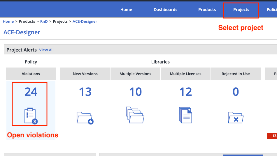 Whitesource violations